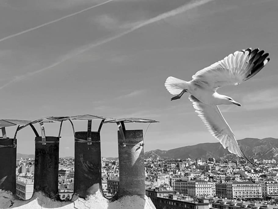 Superbe Appart, Central, Petit Balcon & Vue Place Marseille Exteriör bild